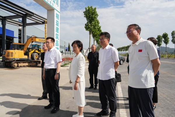 省教育厅厅长王庆东一行莅临三川集团再生资源绿色分拣中心项目调研指导(图3)